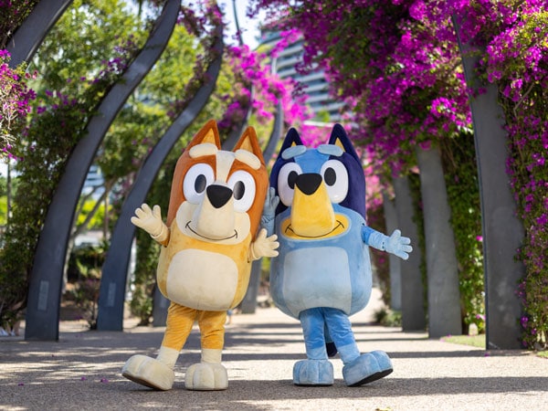 Bluey and Bingo on footpath in Brisbane