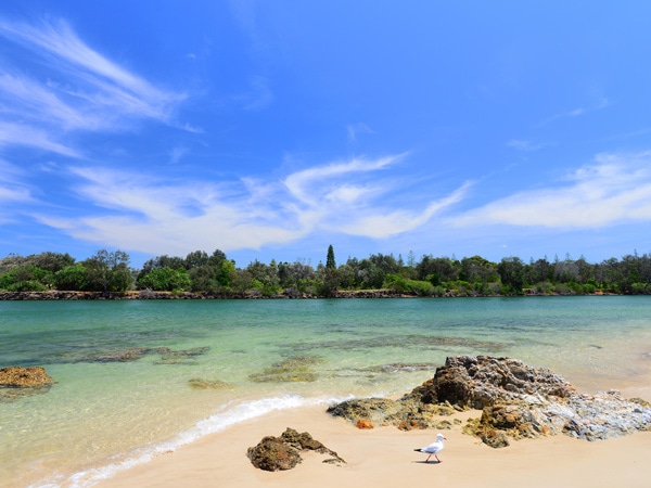 the shores of Brunswick Heads, NSW