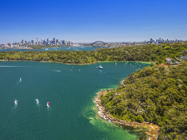 views of Sydney Harbour over Clifton Gardens