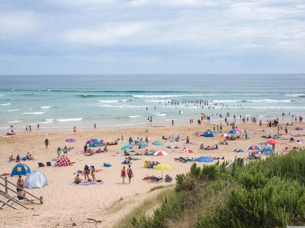 Gunnamatta Beach full with beachgoers