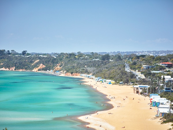 an aerial view of the golden sand and blue waters of Mount Martha Beach 