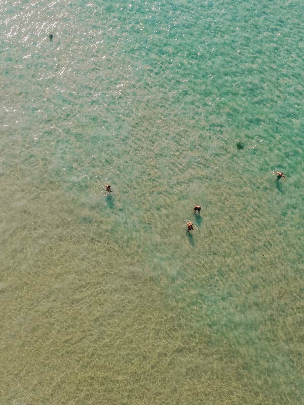 Swimmers in the water at South Cronulla beach