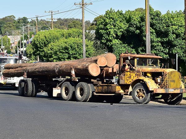 Walcha Antique Machinery and Truck Show, New England High Country Festivals