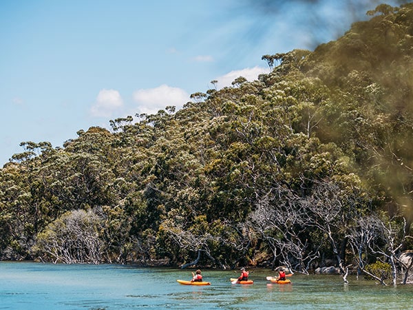 Bundeena Kayaks, sutherland shire wellness guide