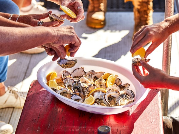 eating fresh oysters during Captain Sponge’s Magical Oyster Tour around Pambula Lake