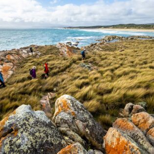 Walkers on Tasmanian Expeditions Flinders Island Walking Advenure in Comfort