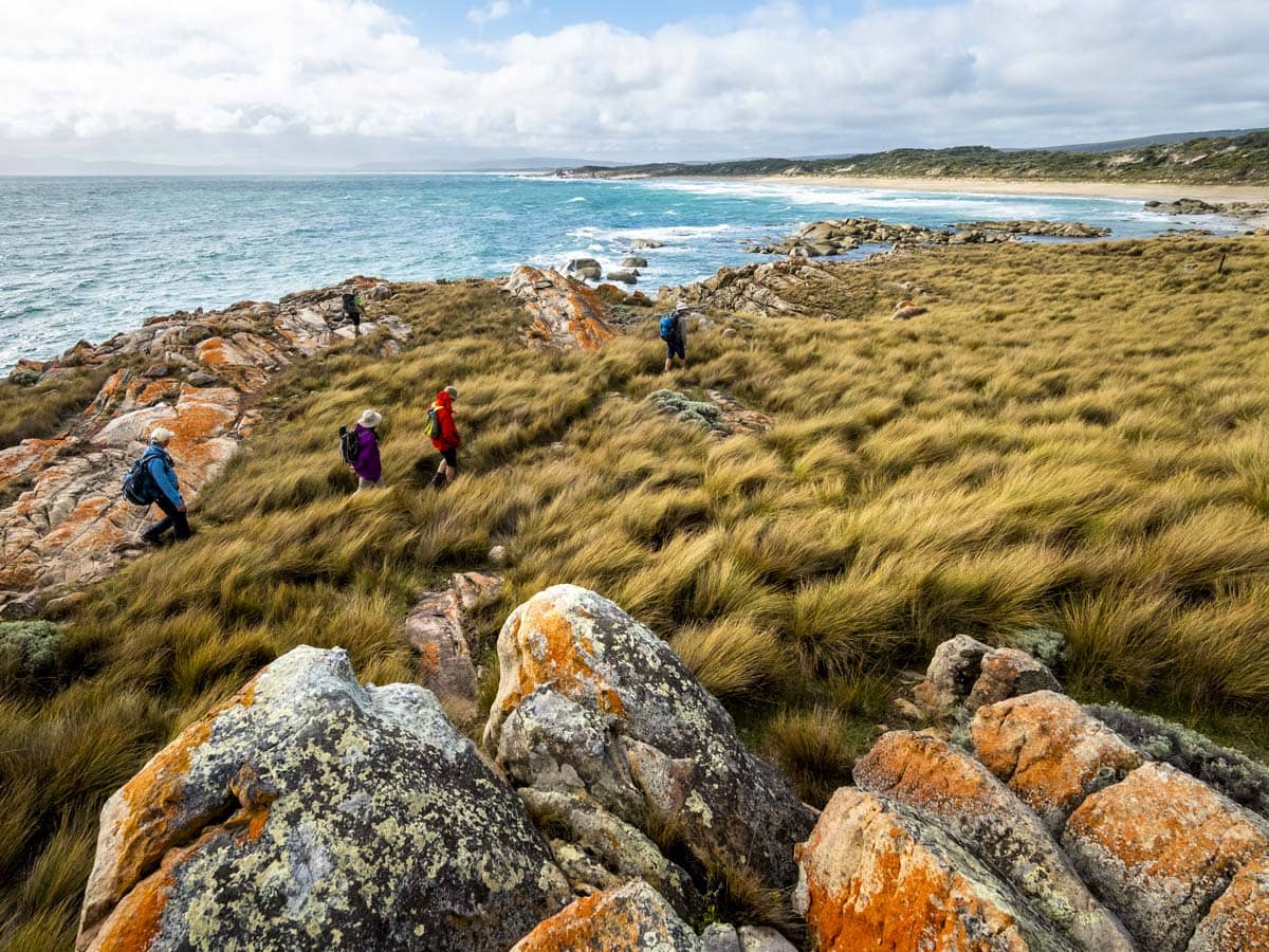 Walkers on Tasmanian Expeditions Flinders Island Walking Advenure in Comfort