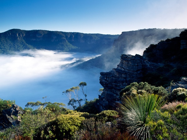 a scenic backdrop of the Jamison Valley, Blue Mountains, NSW