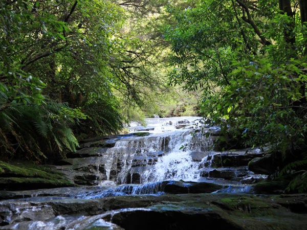 Leura Cascades in the Blue Mountains NSW