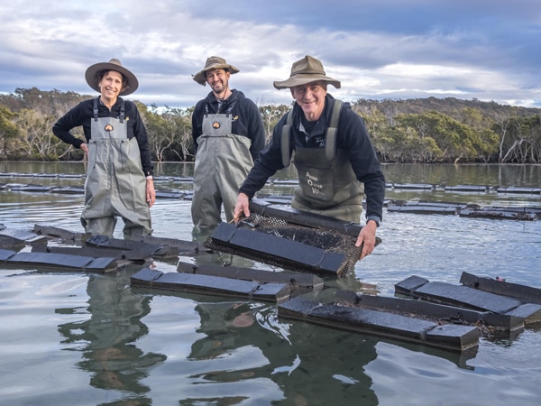the Rodely family at Tathra Oysters