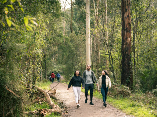 13 Incredible Hikes In Melbourne | Australian Traveller