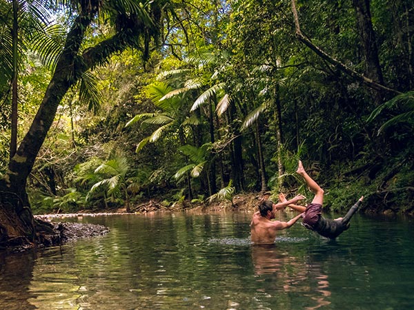 daintree river near cairns