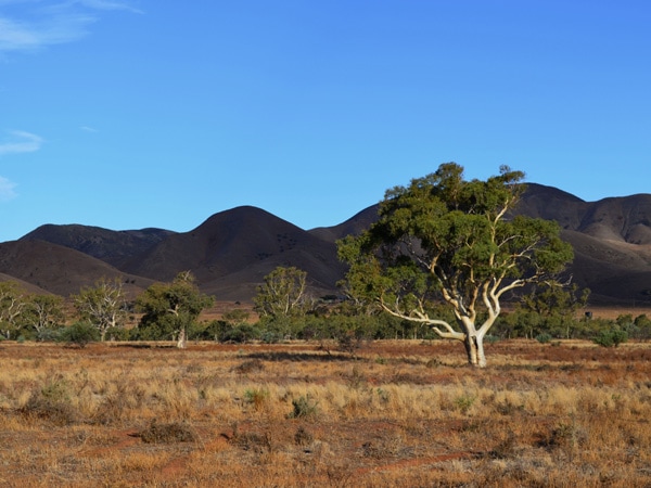 a scenic landscape in Mount Remarkable National Park