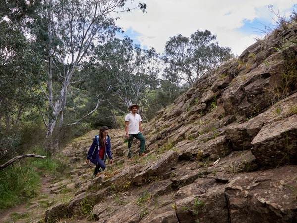 hikers trekking through the tessellated pavement at Organ Pipes National Park, Calder Park