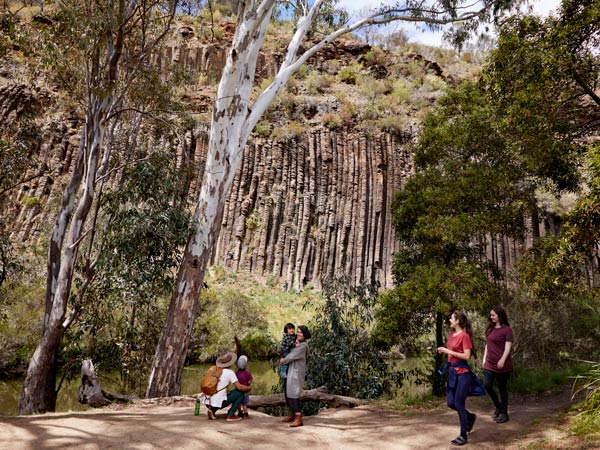 People hiking in Organ Pipes National Park. 