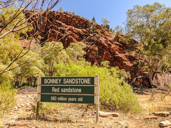 the Bonney Sandstone in Brachina Gorge