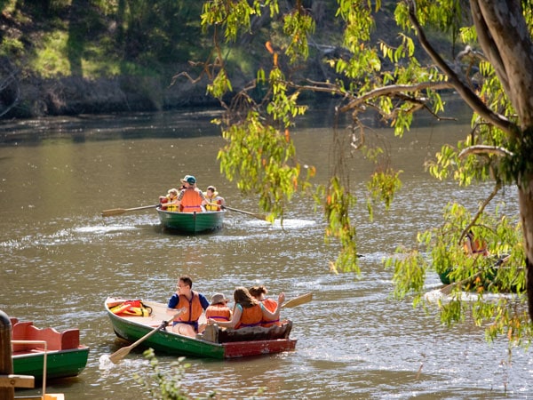 rowing boats in Yarra Bend Park