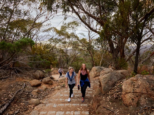 hikers climbing up Yangs Regional Park, Flinders Peak Walk
