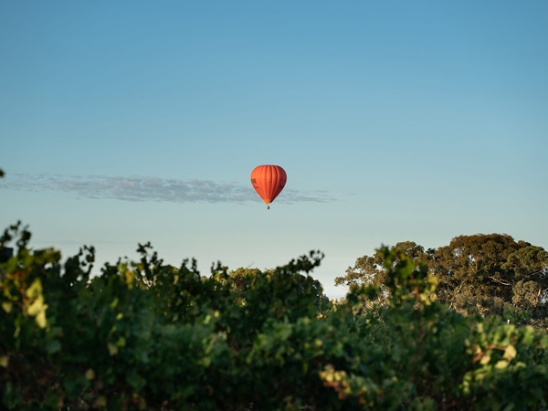 Hot air balloon over the Barossa Valley