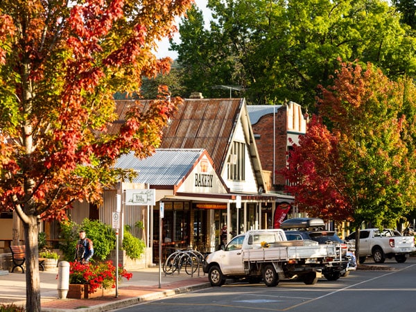 Bright streets in autumn