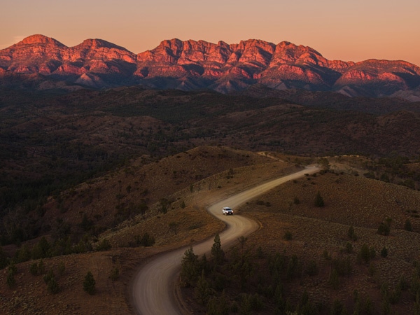 driving along the Bunyeroo Valley