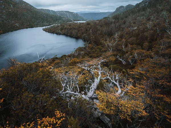 the Cradle Mountain in Tasmania