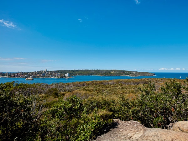 stunning coastal views of the Manly Ferry passing through Sydney Harbour from Dobroyd Head, Balgowlah Heights