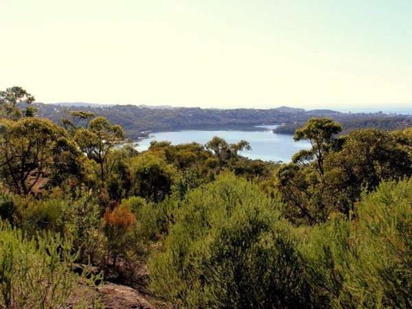 the Manly Dam surrounded by lush greenery