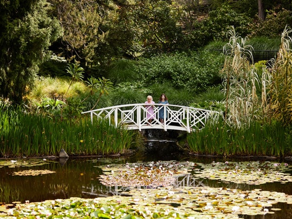 two women standing on a bridge at the Royal Tasmanian Botanical Gardens