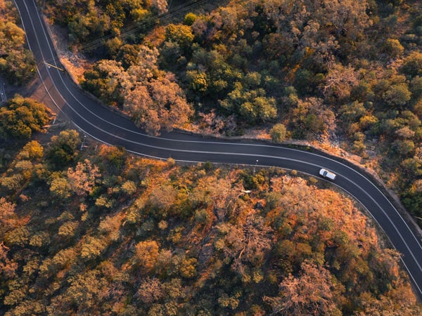 Car driving through trees in Tamworth