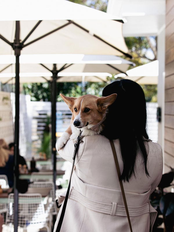 Woman holds her dog at Tinker in Melbourne