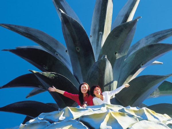 two women standing on top of the big pineapple on Sunshine Coast