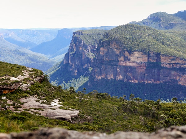 Lockleys Pylon Track in the Blue Mountains