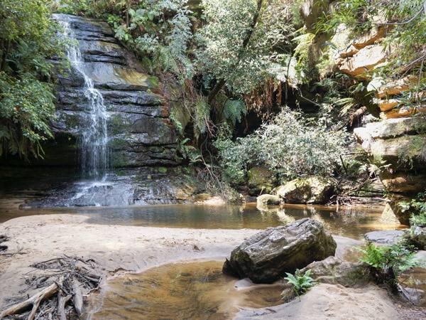 Lyrebird Dell and Pool of Siloam Track in the Blue Mountains