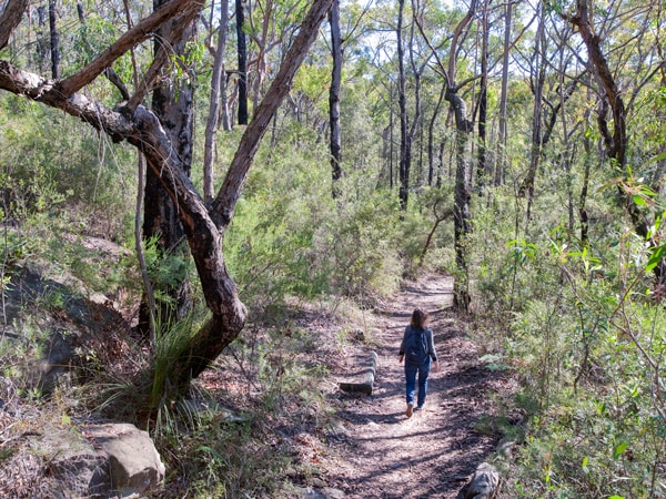 Red Hands Track in the Blue Mountains