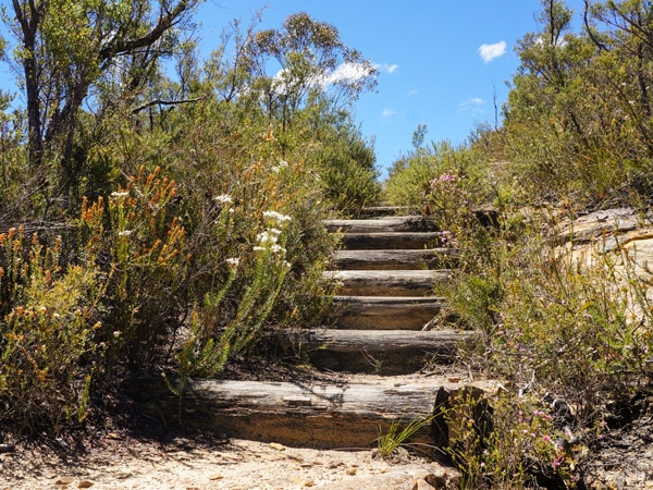 Walls Cave Track in the Blue Mountains