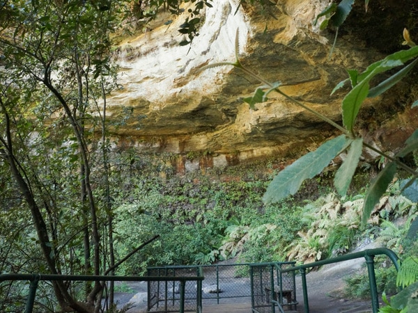 Walls Cave Track in the Blue Mountains