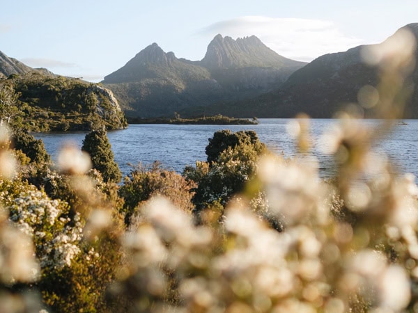 scenic views from the Cradle Mountain