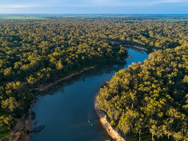 an aerial view of the Murray River