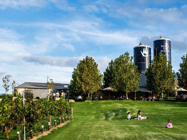 Bird in Hand Winery in the Adelaide Hills, SA