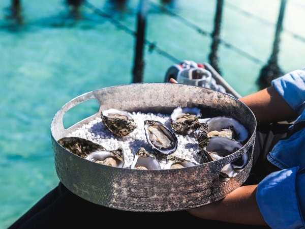 a basket of oysters
