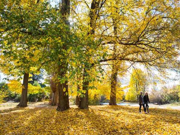 Tumut, NSW
