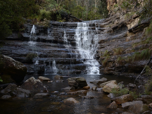 Victoria Falls Track in the Blue Mountains