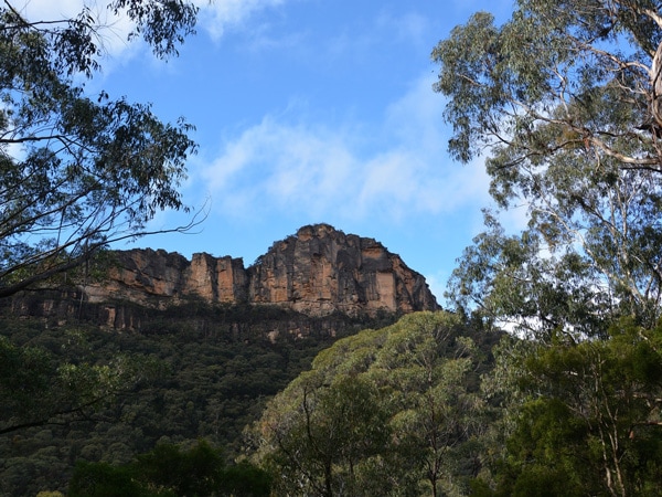 Victoria Falls Track in the Blue Mountains