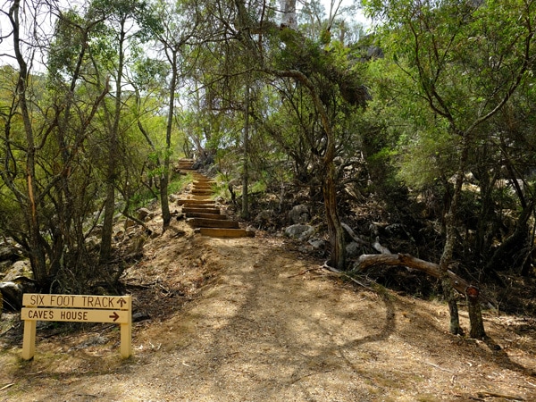 Six Foot Track in the Blue Mountains