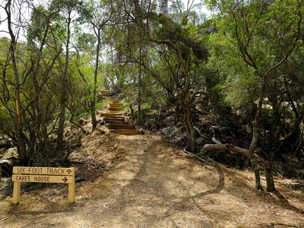 Six Foot Track in the Blue Mountains