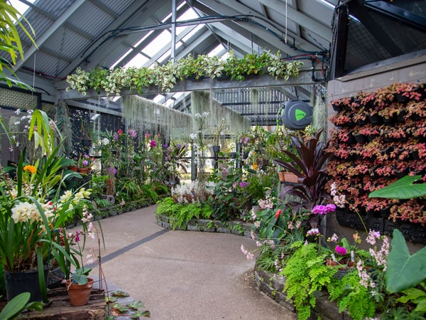 a look inside the Hervey Bay Botanic Gardens and Orchid House