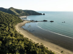 an drone shot of a secluded beach in Cape Hillsborough