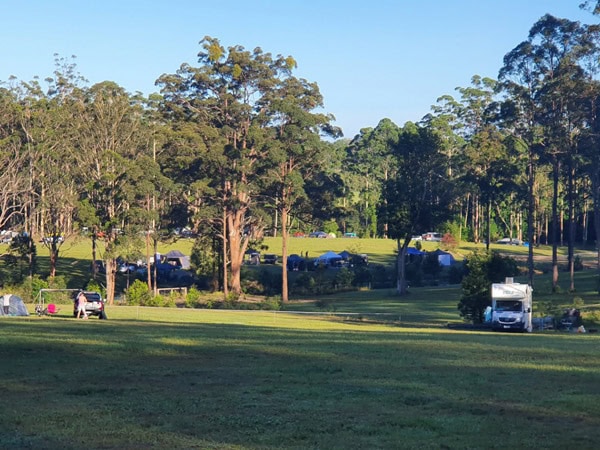 the campsite at Coffs Harbour Camping & 4WD, Nana Glen, Coffs Coast