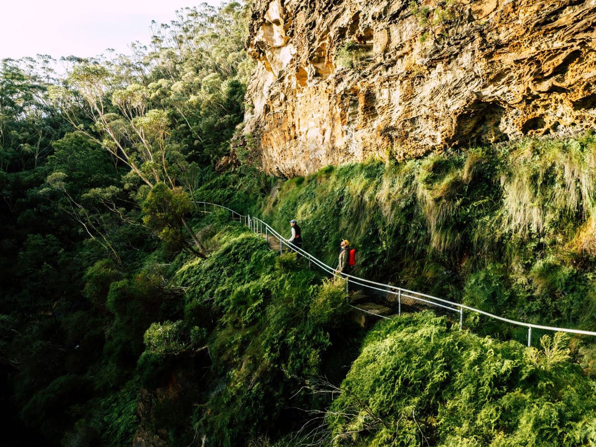 A new Blue Mountains walk has opened and it's a nature-lover's dream
